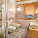 Nordica Aurora ليفينو